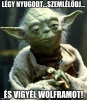 Yoda intelmei